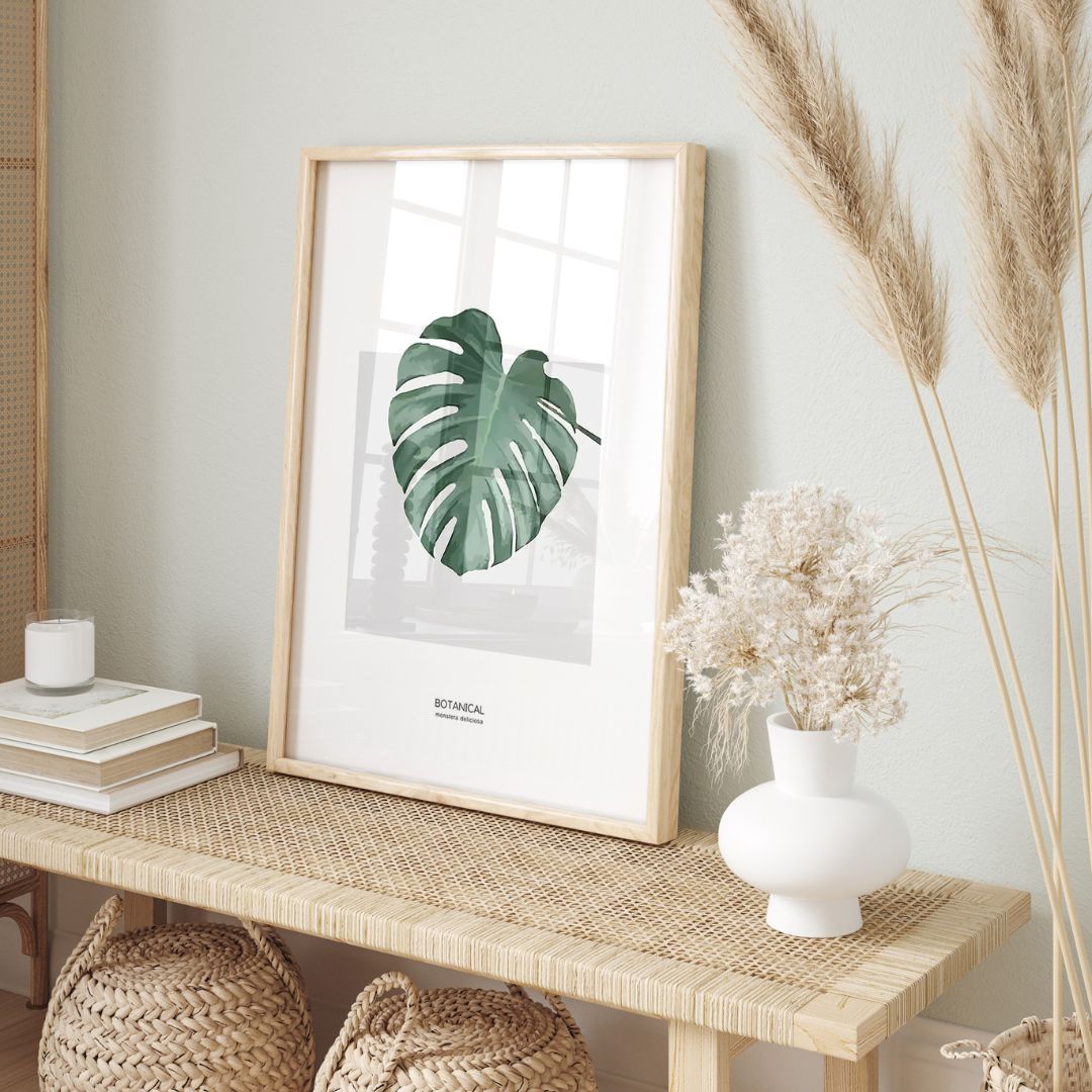 Monstera