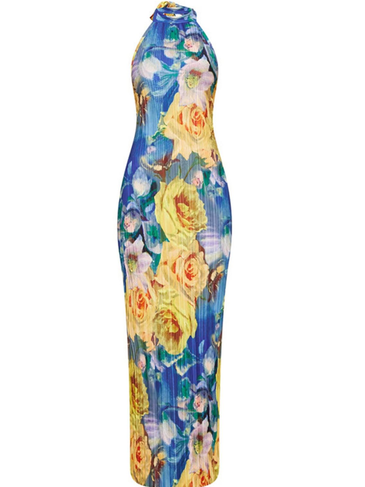 Halter Neck Ribbed Knit Floral Print Bodycon Maxi Dress