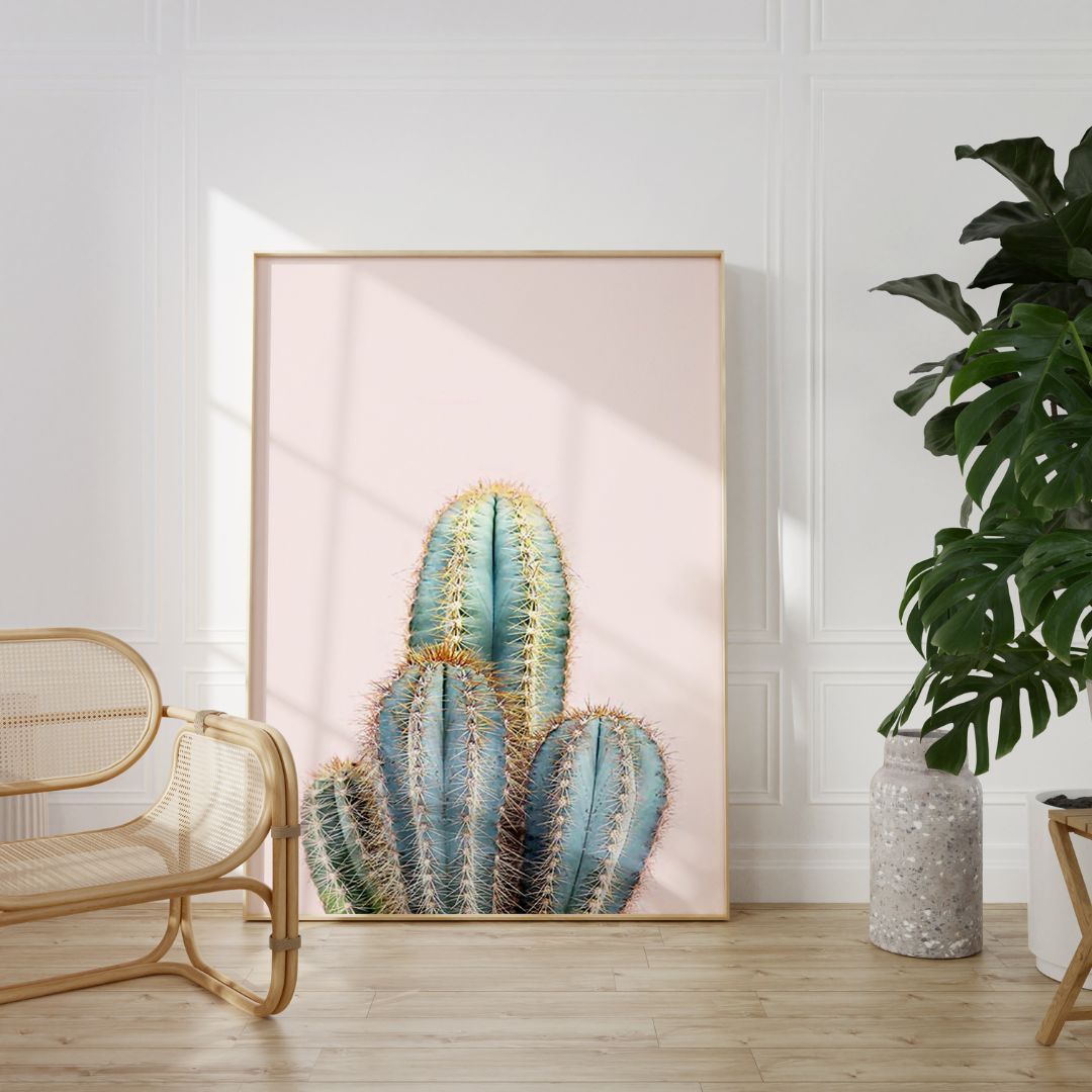Rosé Cactus