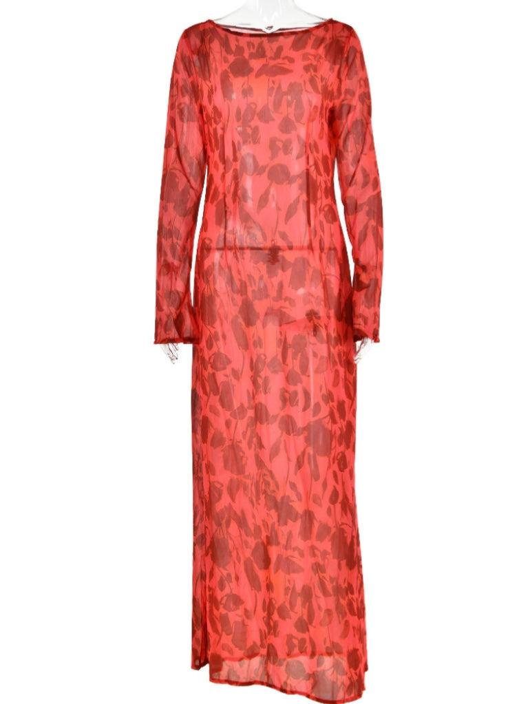 Print Mesh Long Sleeve High Neck Maxi Dress