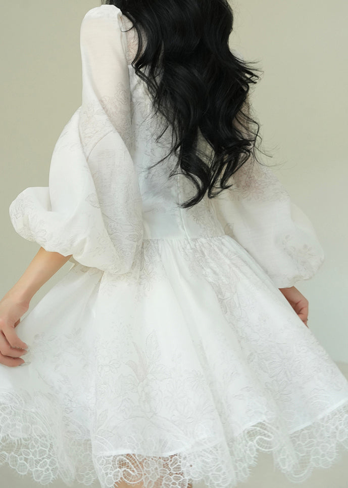 Deep V Neck Puff Sleeve Jacquard Floral Lace Trim A Line Mini Dress