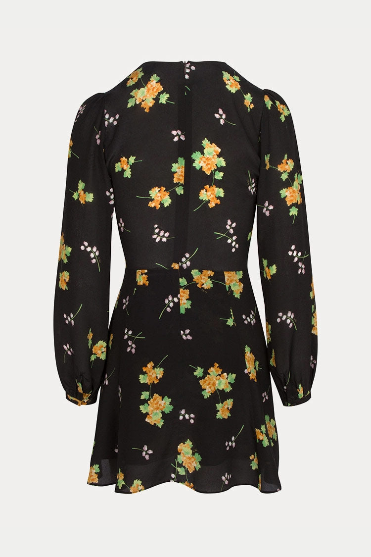 Floral Print Deep V Long Sleeve Fit Flare Mini Dress