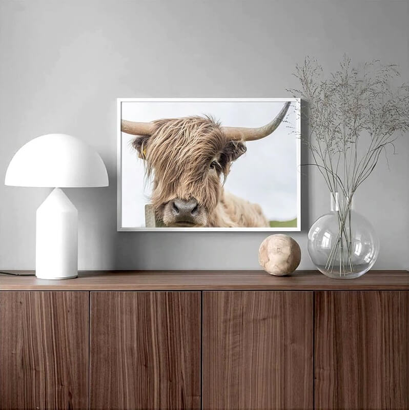 Cattle