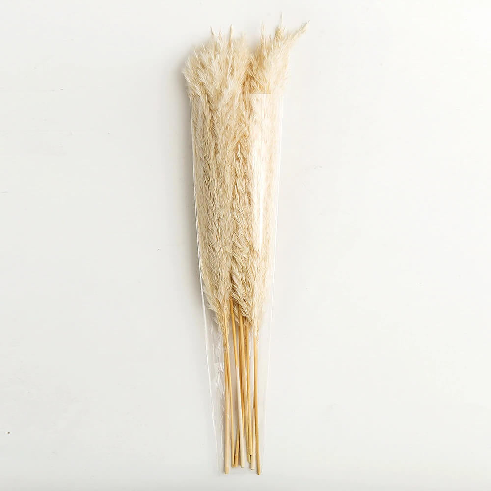 Natural Dried Pampas Bouquet