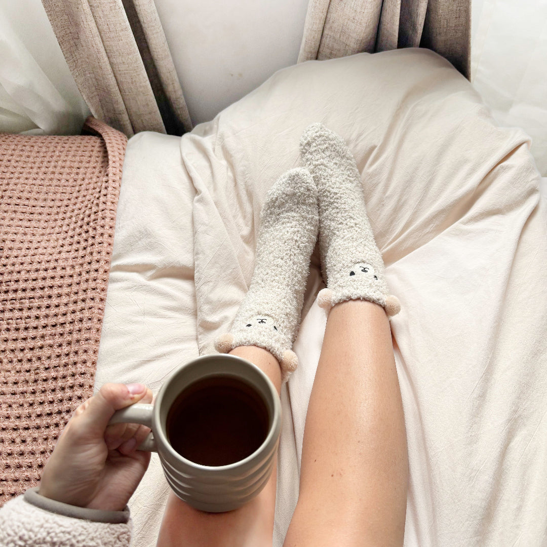 Teddy Bear Fuzzy Socks Pack