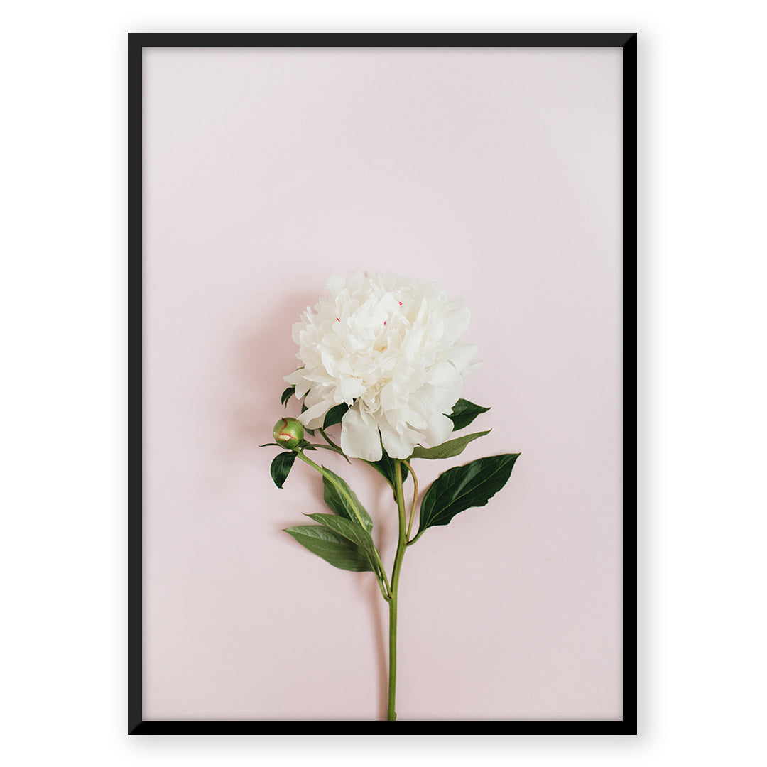 Pastel Flower