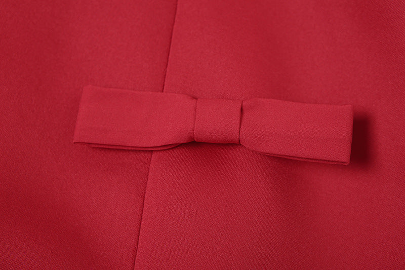 Boat Neck Long Sleeve Bow Detail A-Line Mini Dress