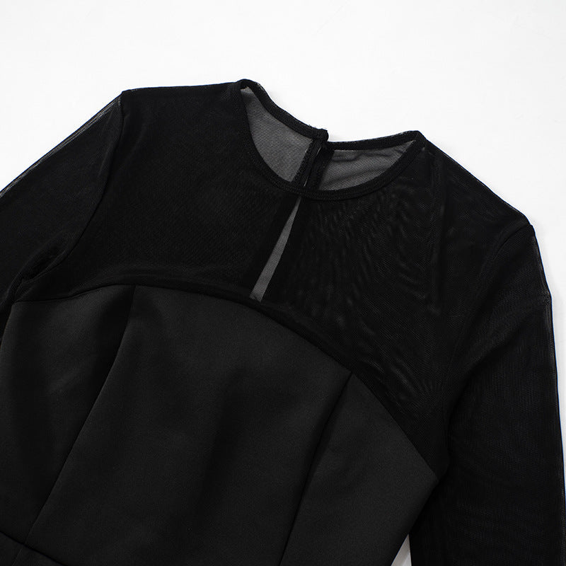 Sheer Mesh Yoke Long Sleeve Fit and Flare Skater Mini Dress