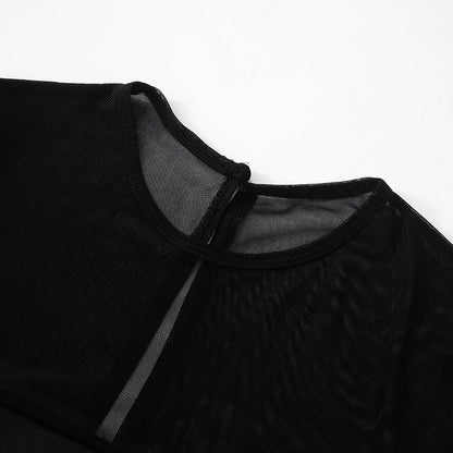Sheer Mesh Yoke Long Sleeve Fit and Flare Skater Mini Dress