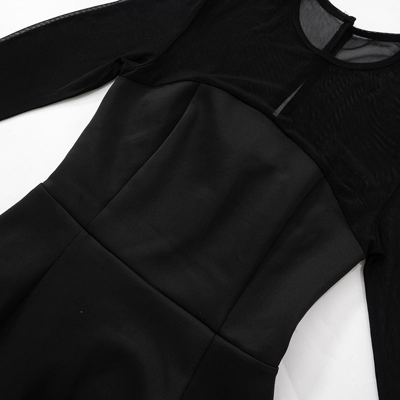 Sheer Mesh Yoke Long Sleeve Fit and Flare Skater Mini Dress