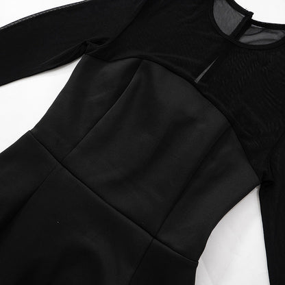 Sheer Mesh Yoke Long Sleeve Fit and Flare Skater Mini Dress