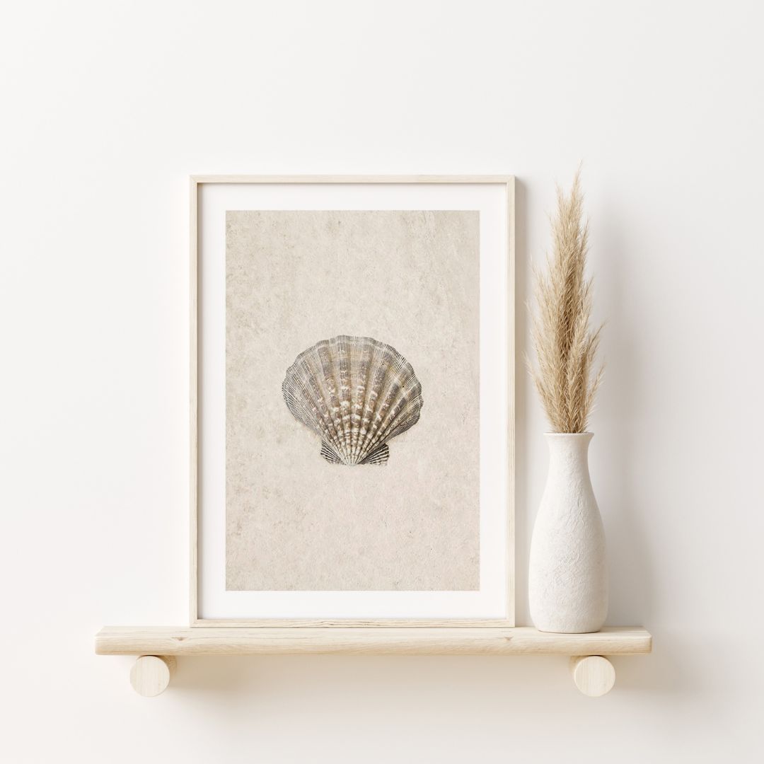 Sea Shell