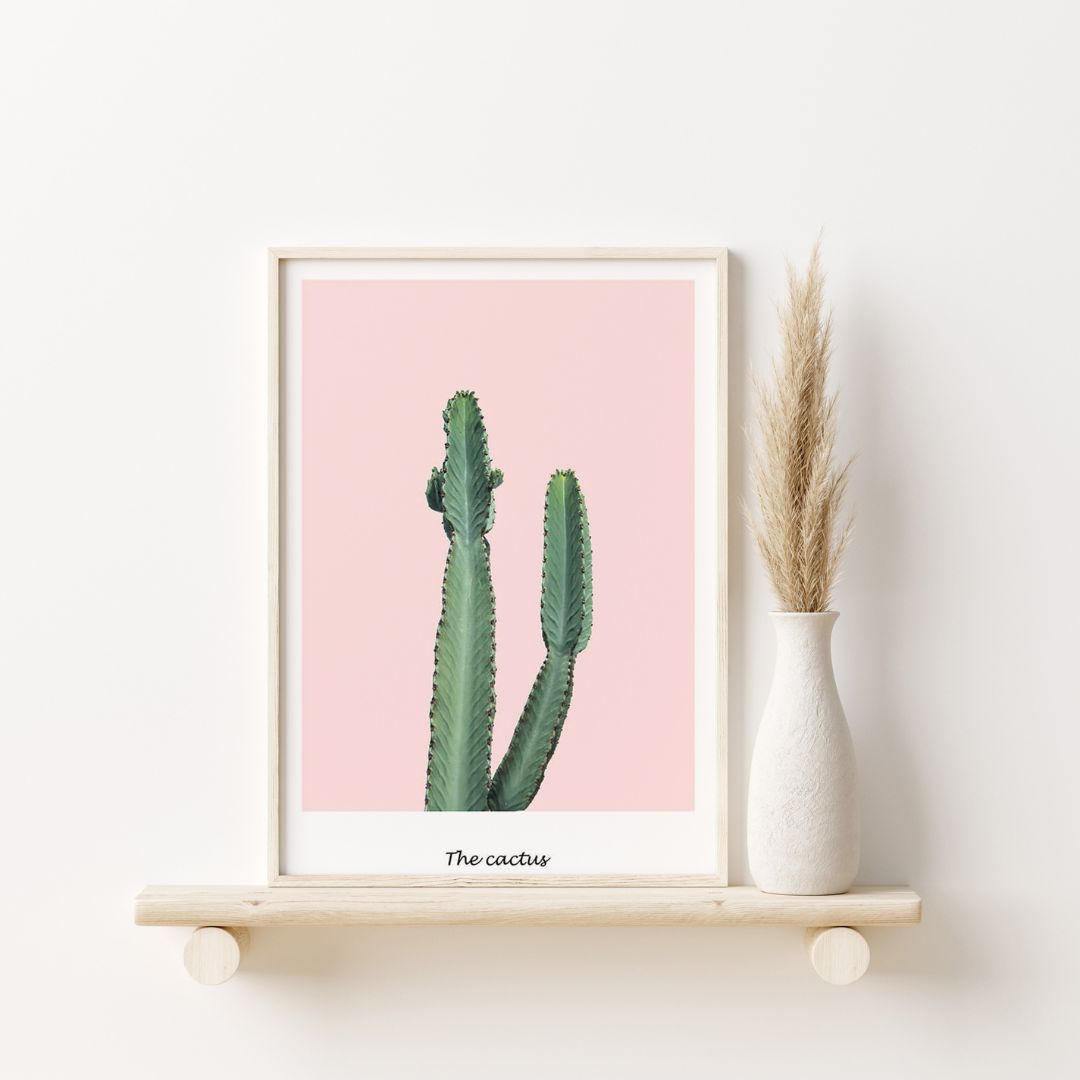 Pink Cactus