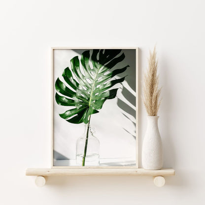 Tropical Leaf