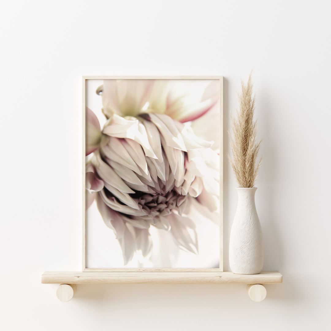 Bloom Flower