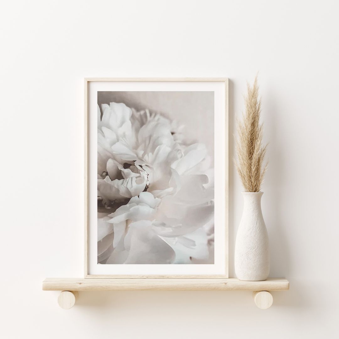 Petals