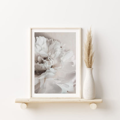 Petals