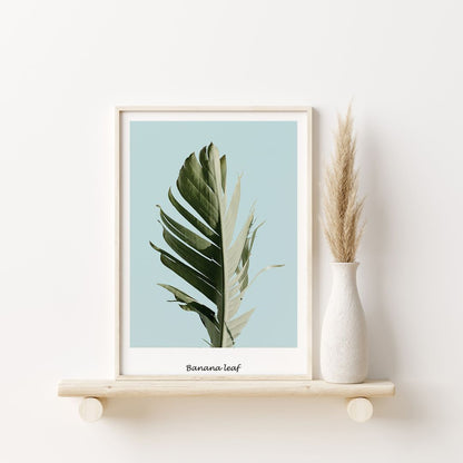 Banana Leaf