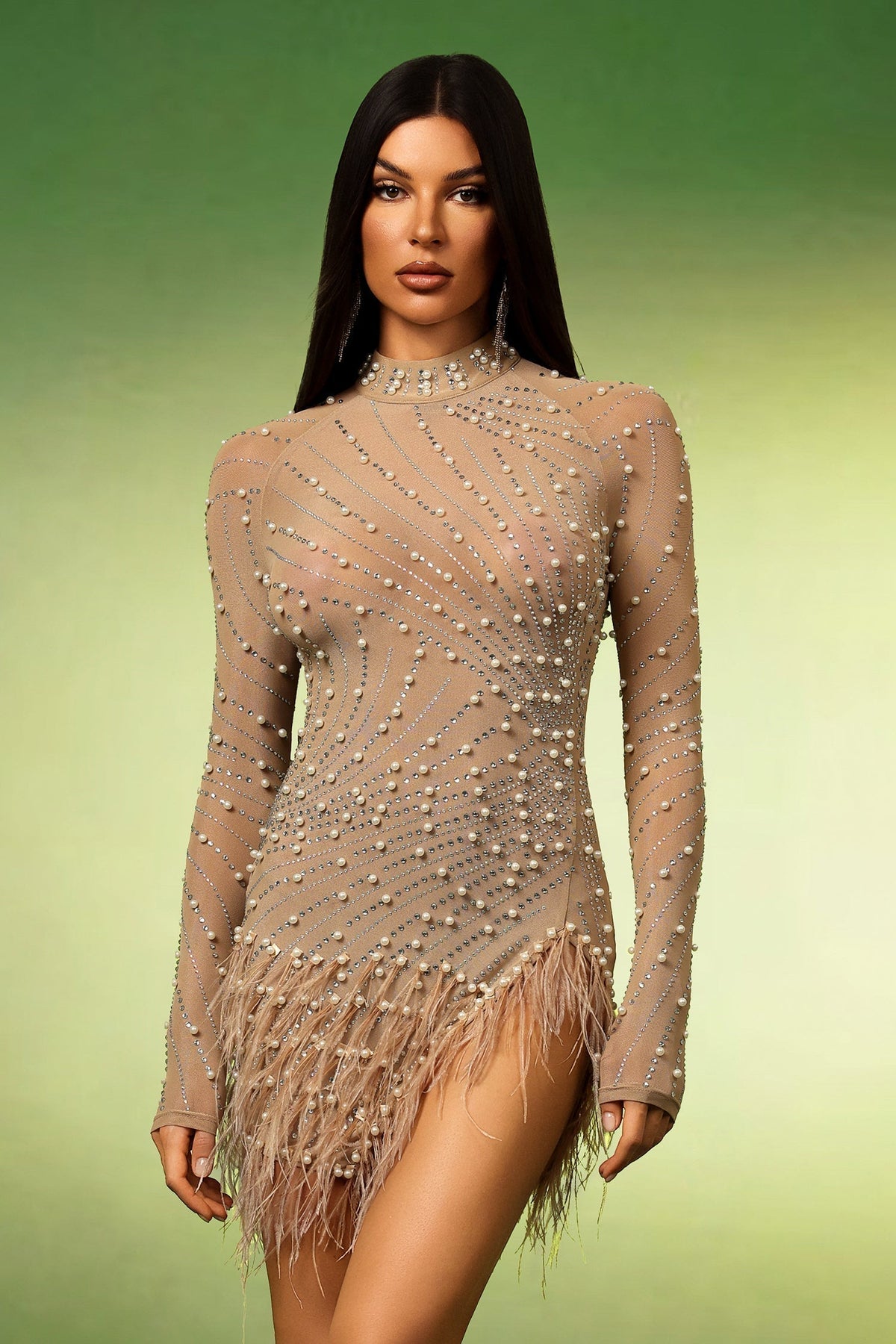 Mock Neck Long Sleeve Pearl Rhinestone Swirl Feather Trim Mini Dress