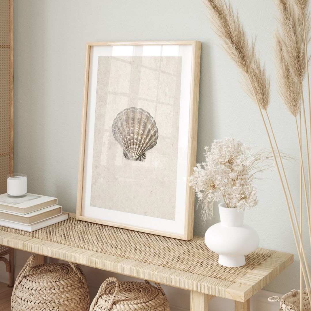 Sea Shell
