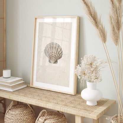 Sea Shell