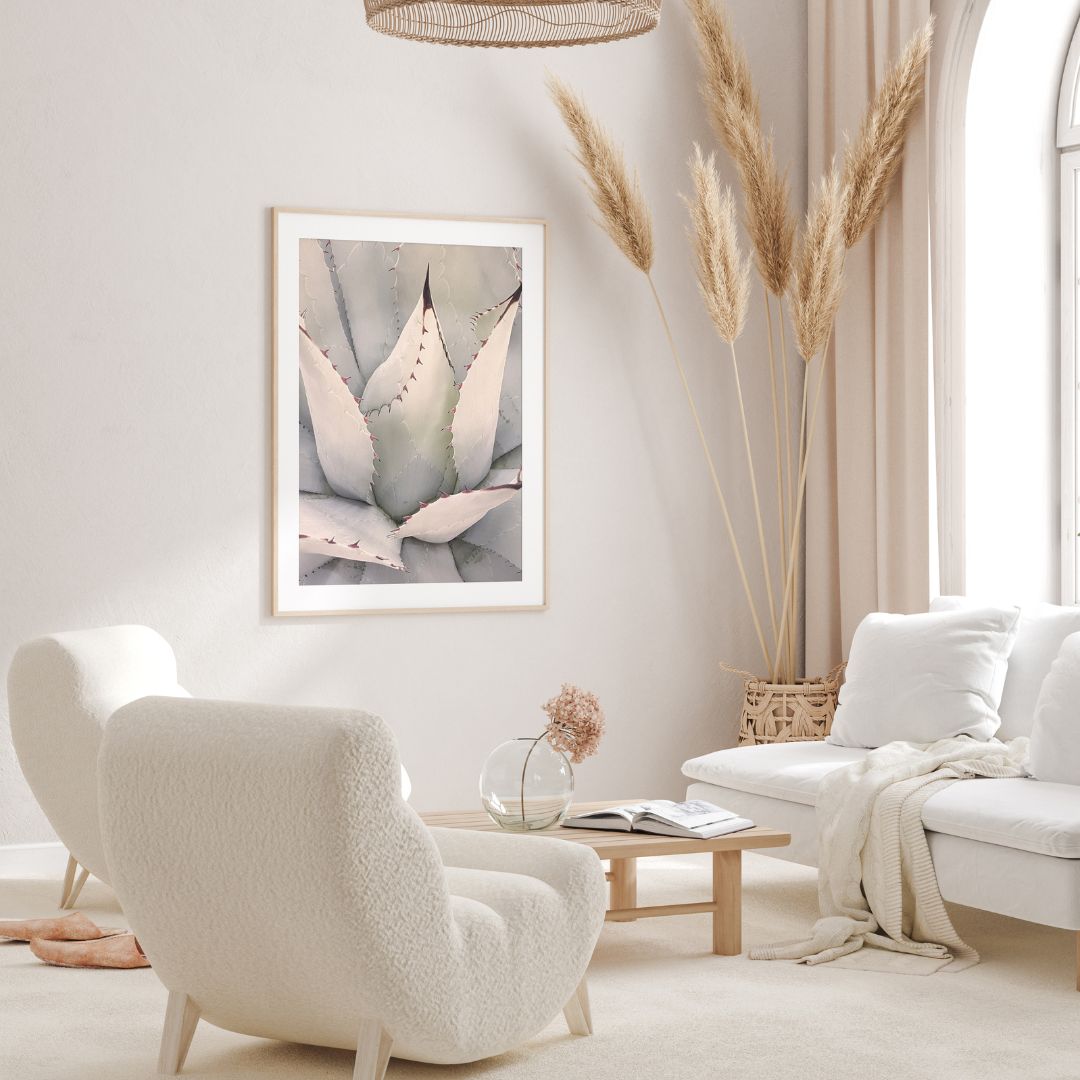 Agave