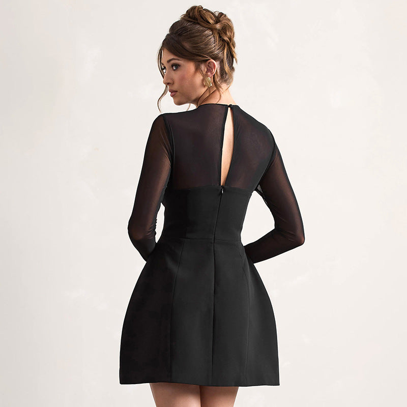 Sheer Mesh Yoke Long Sleeve Fit and Flare Skater Mini Dress