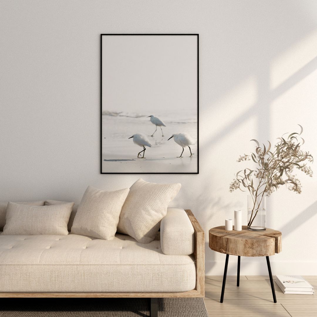 Sea Birds