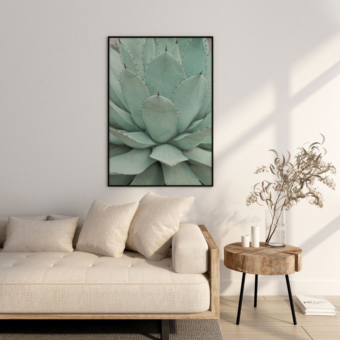 Oasis
