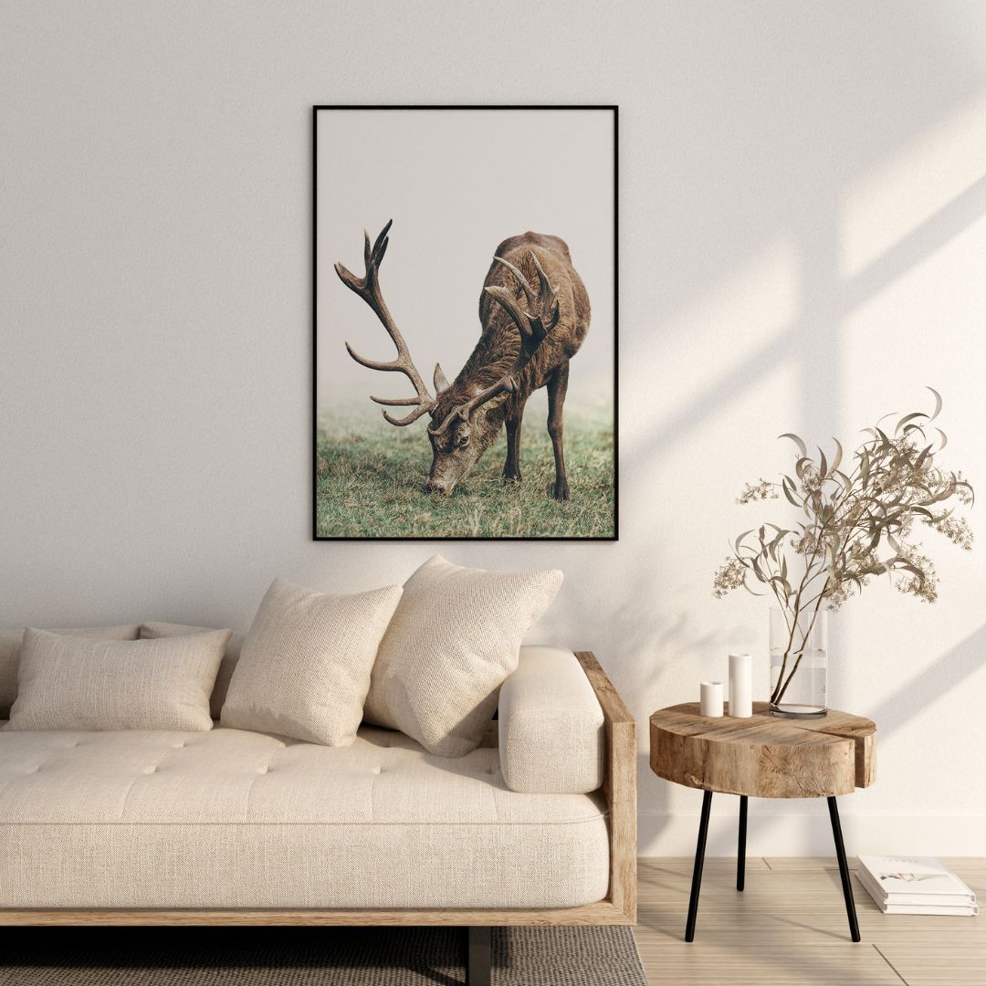 Mountain Deer