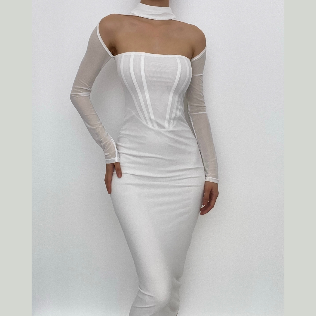 Choker Neck Chest Cutout Mesh Sleeve Zip Up Bodycon Midi Dress