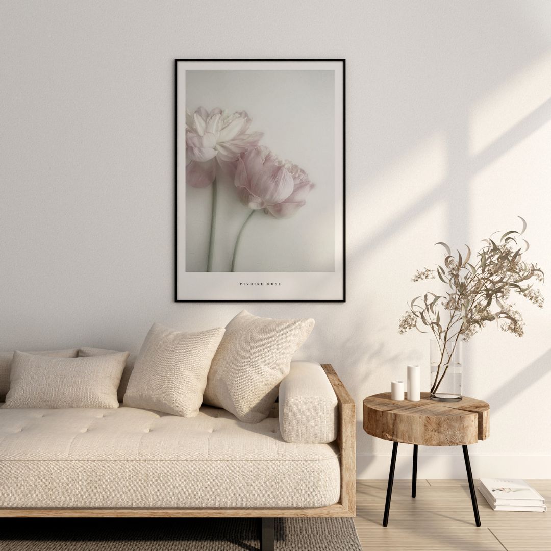 Pivoine Rose
