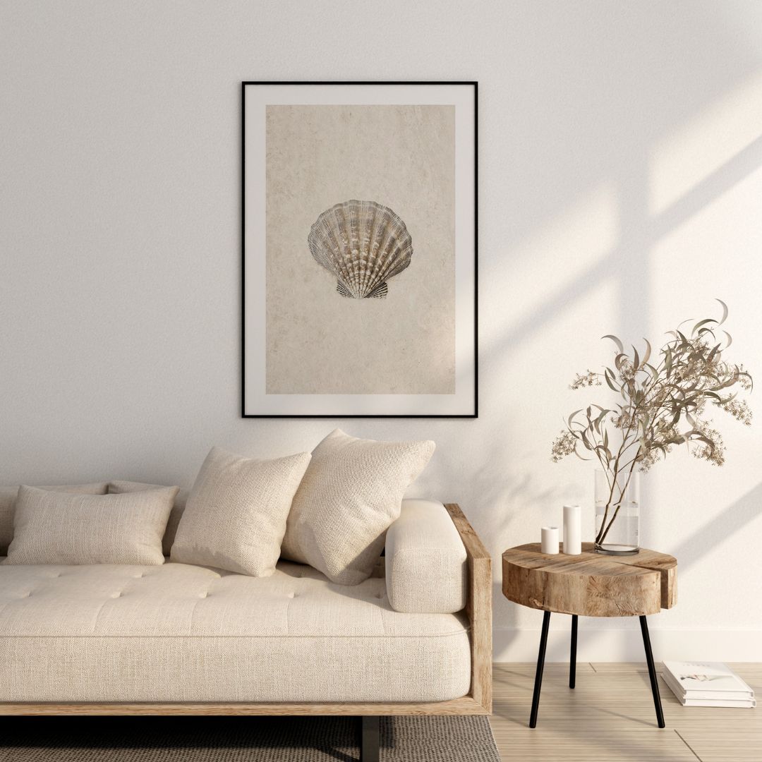 Sea Shell