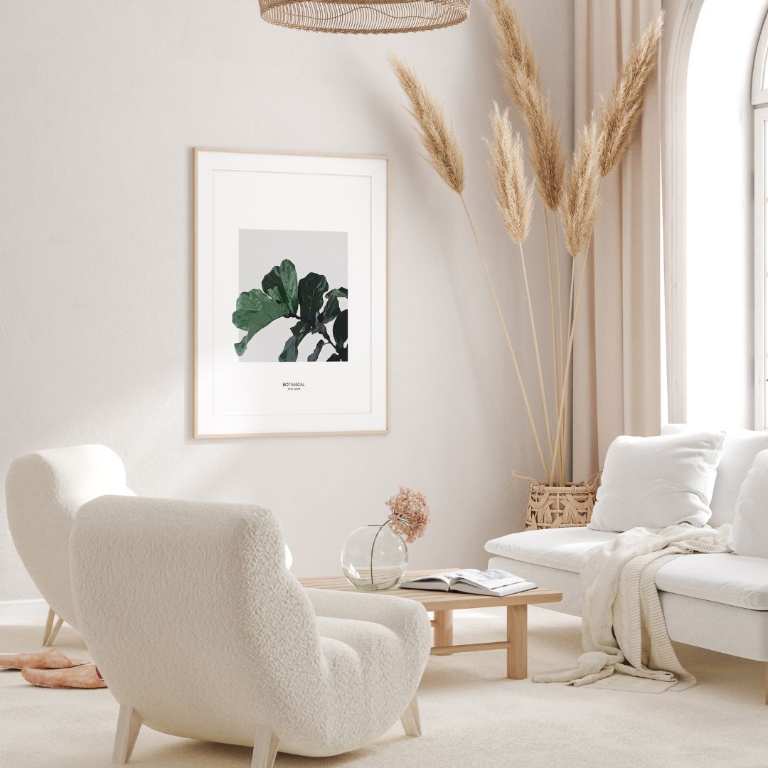 Ficus Lyrata