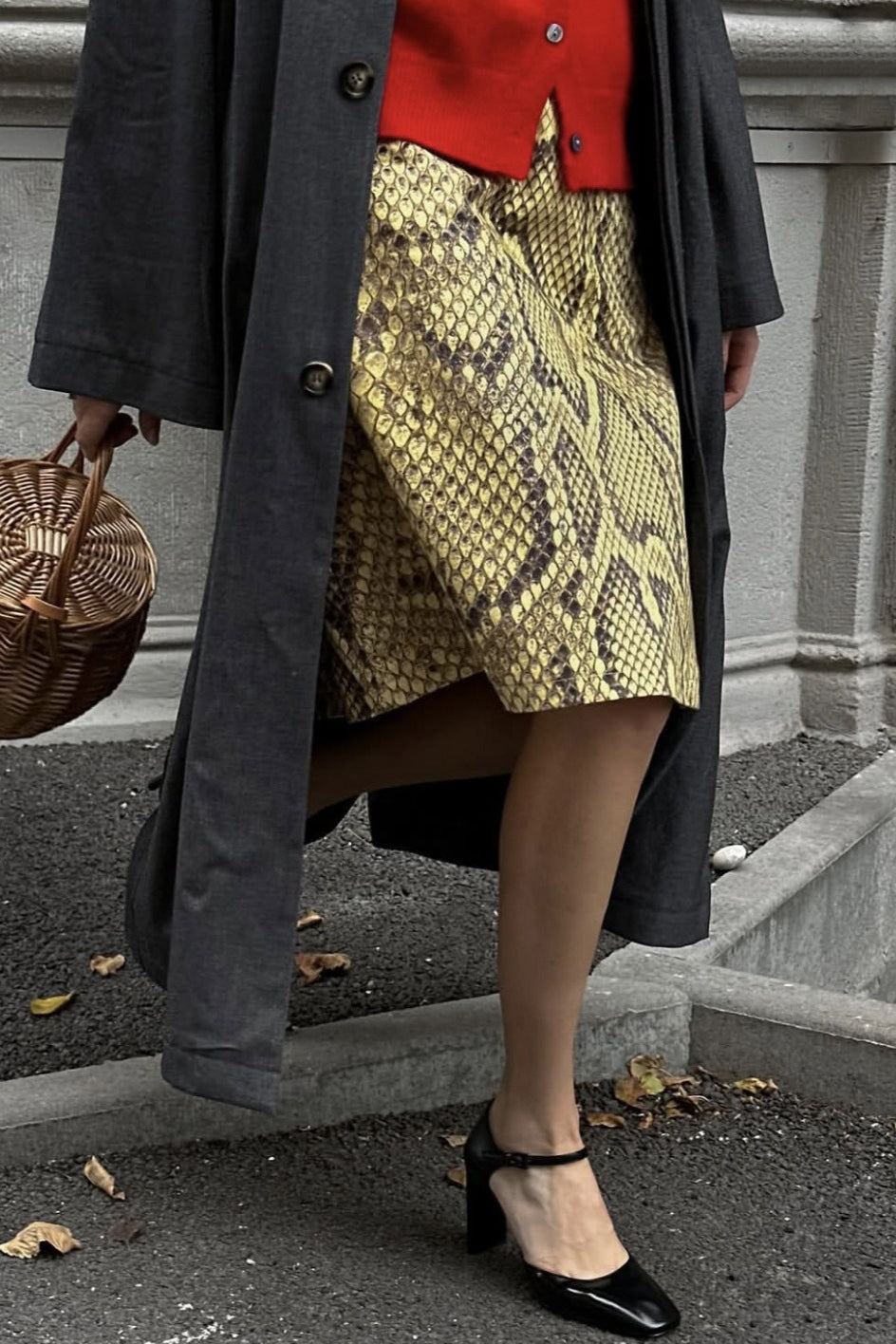 Snake Print Straight Midi Skirt