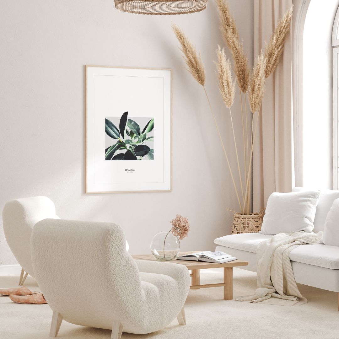 Ficus Elastica