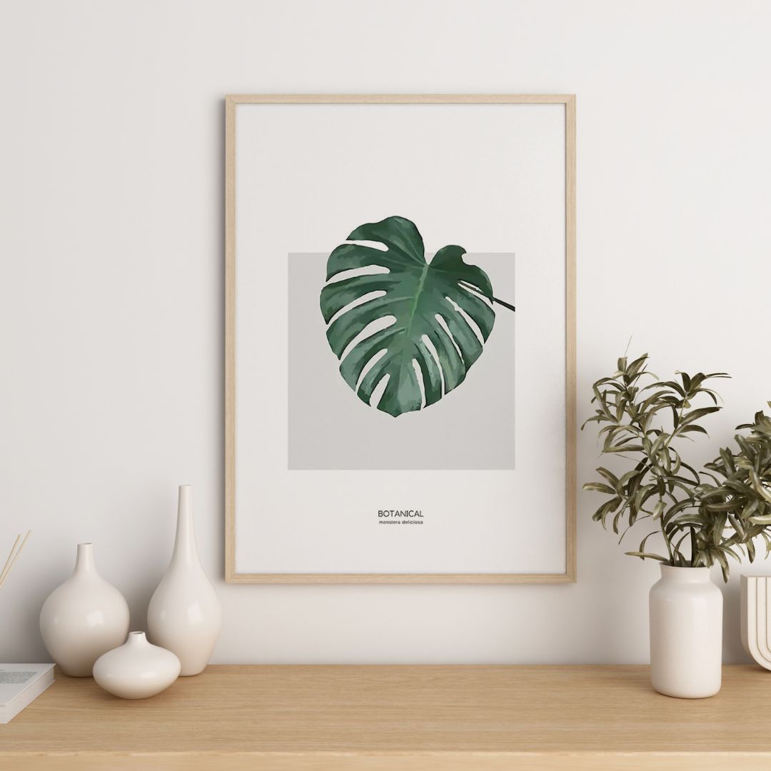 Monstera