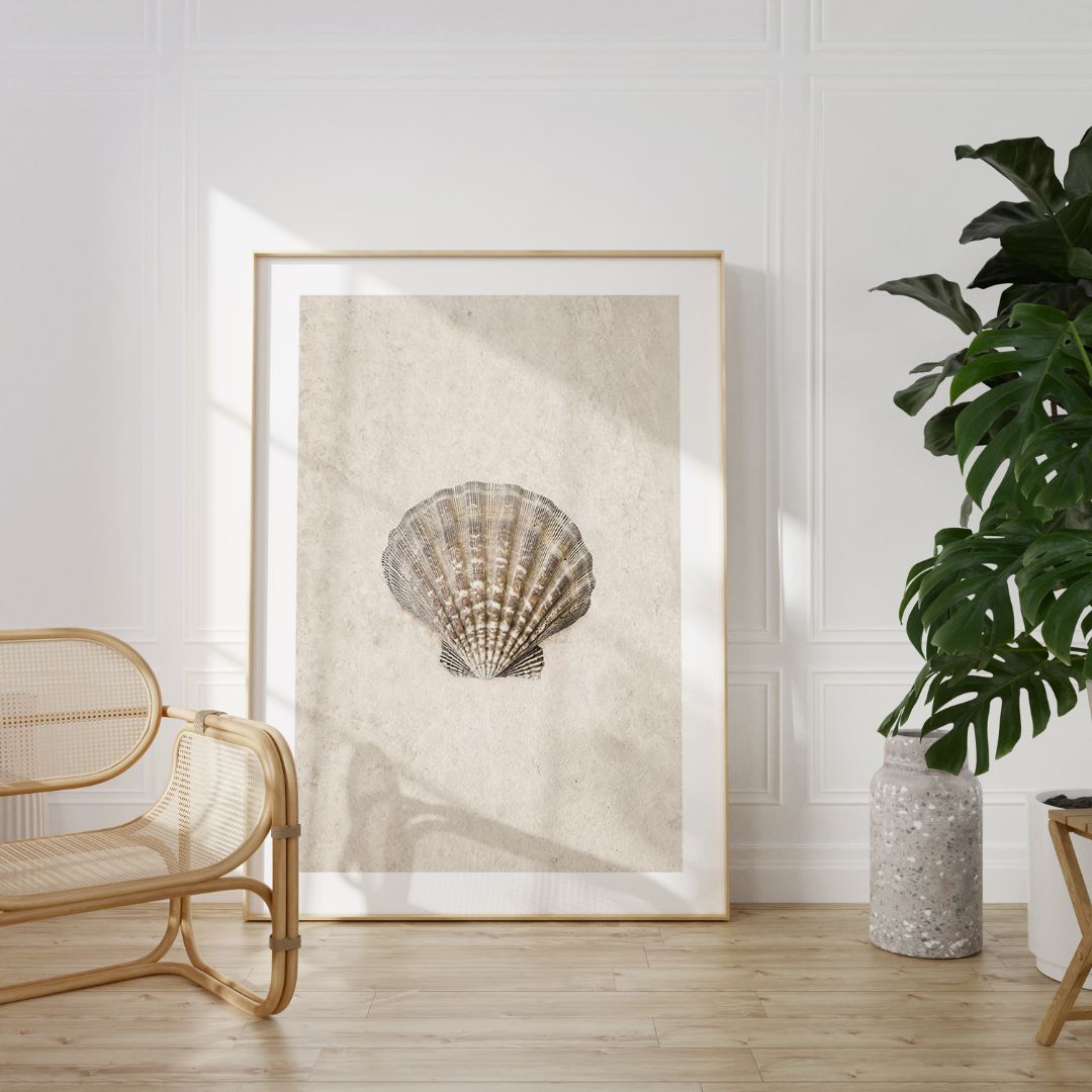 Sea Shell