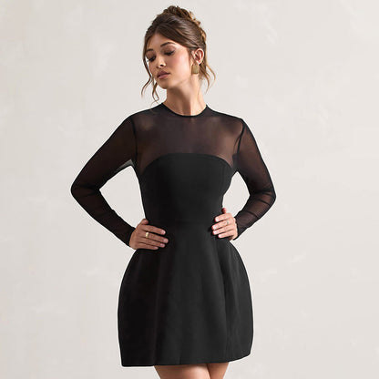 Sheer Mesh Yoke Long Sleeve Fit and Flare Skater Mini Dress