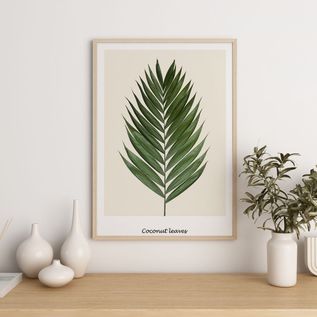 Coconut Leaves