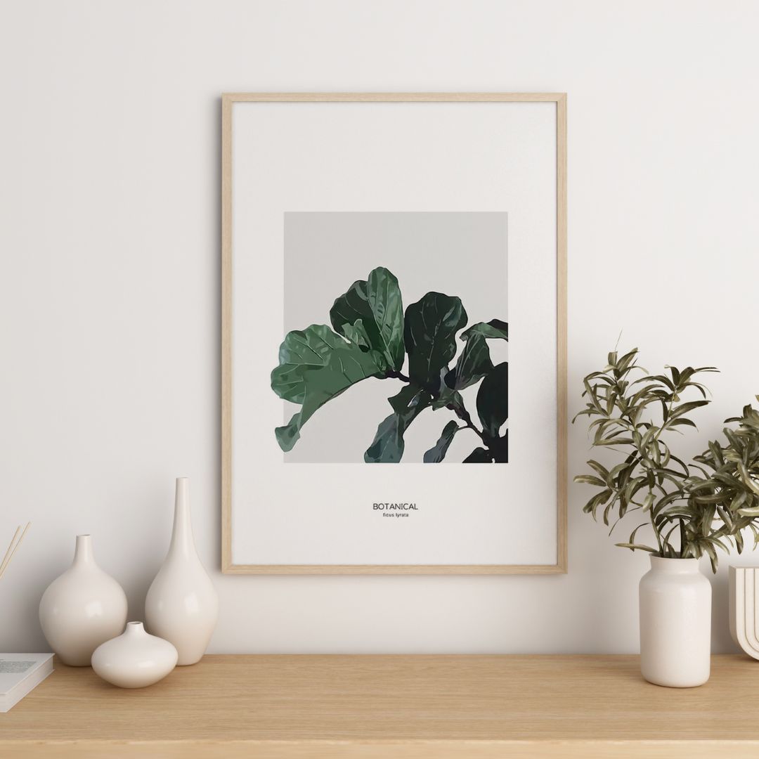 Ficus Lyrata