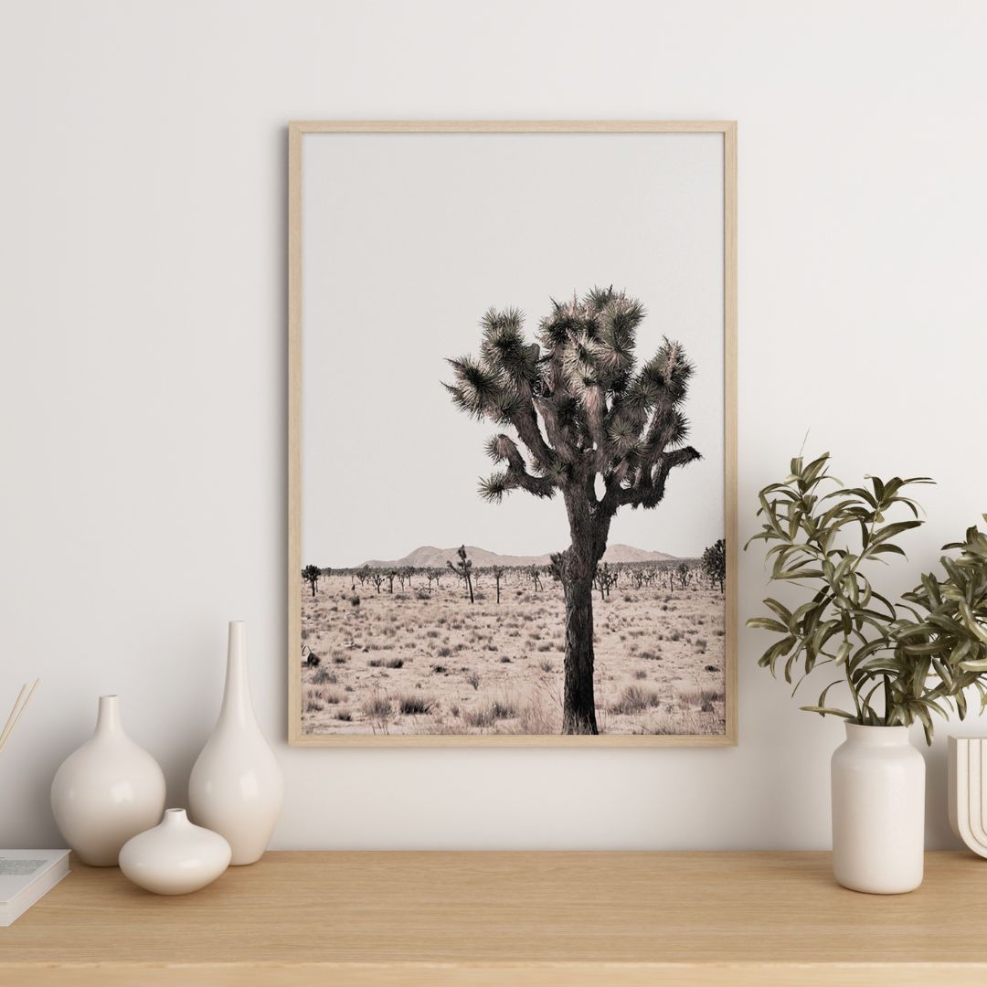 Joshua Tree