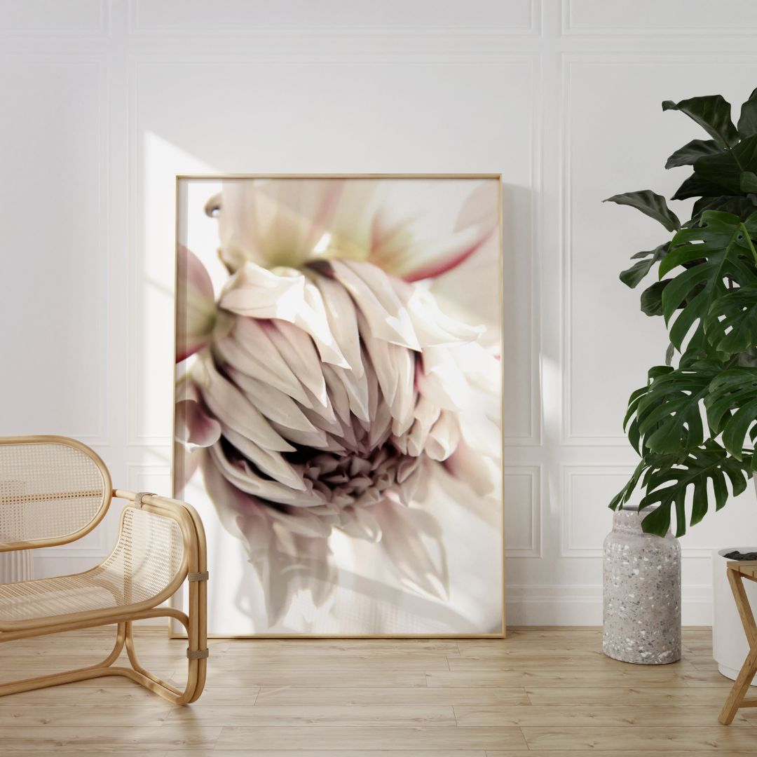 Bloom Flower