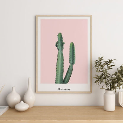 Pink Cactus
