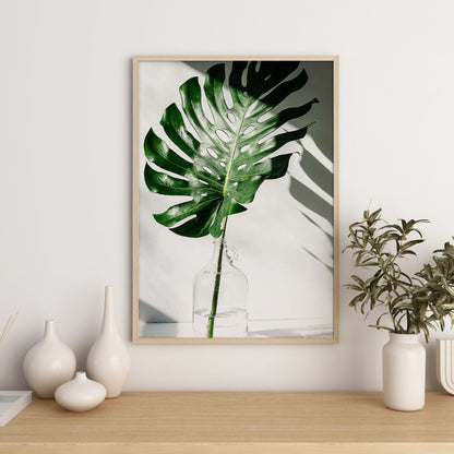 Tropical Leaf