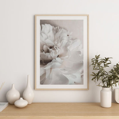 Petals