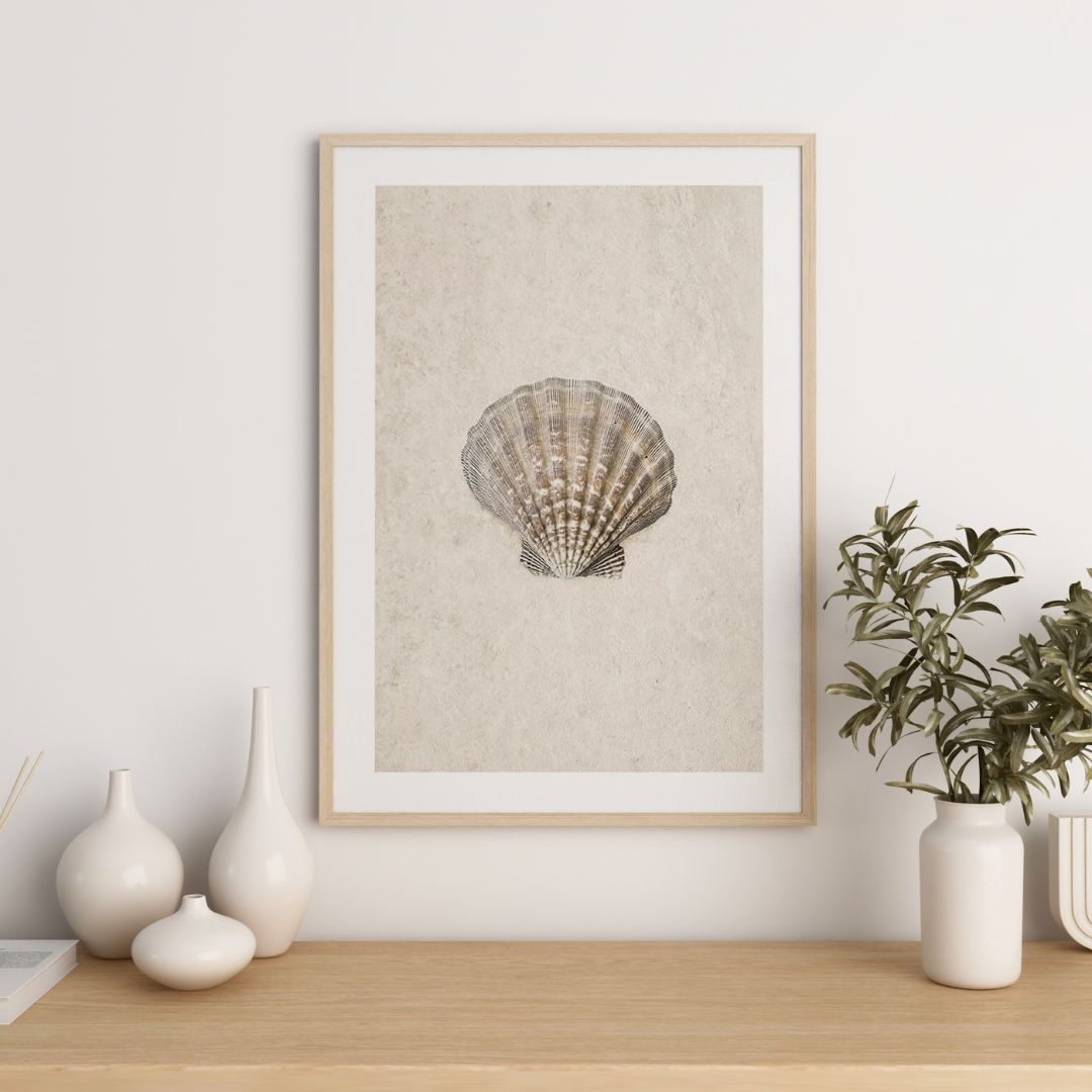 Sea Shell