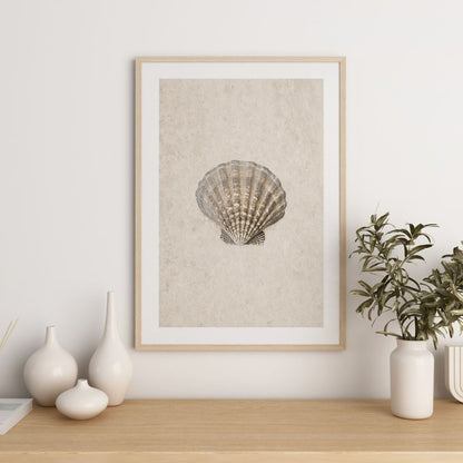 Sea Shell