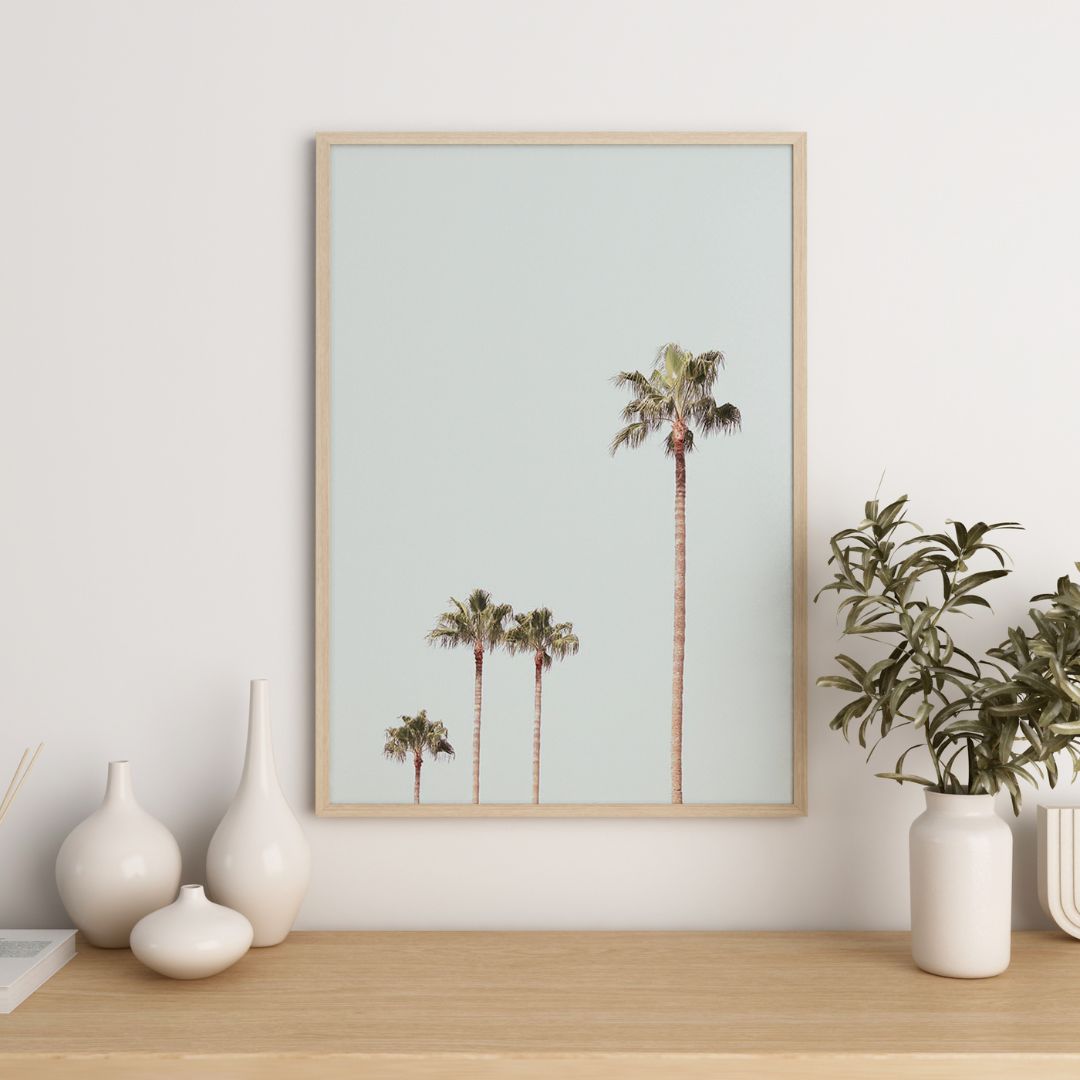 Queen Palm