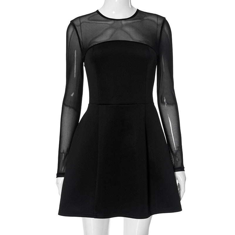 Sheer Mesh Yoke Long Sleeve Fit and Flare Skater Mini Dress